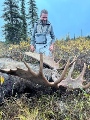MOOSE 2.jpg