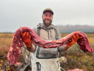 BACKSTRAP 1.jpg BACKSTRAP 1.jpg