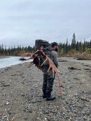 MOOSE PACKOUT RIVER.jpg