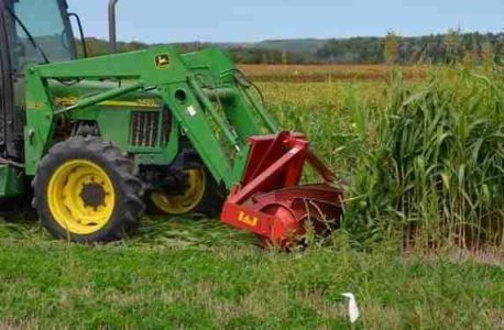 roller crimping sorgum sudan grass.jpeg