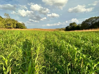 IMG_1876.jpeg IMG_1876.jpeg