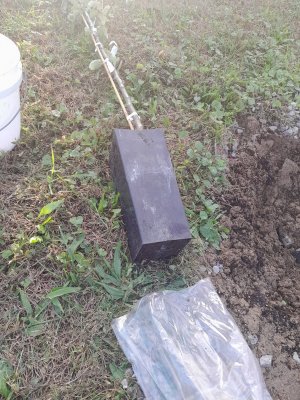 20231012_171743.jpg