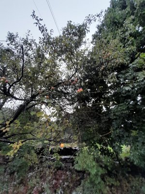 20230925_081441.jpg