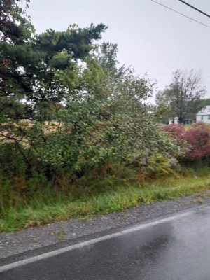 20230925_081908.jpg