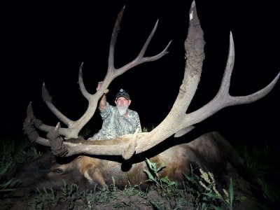 Elk#3.jpg