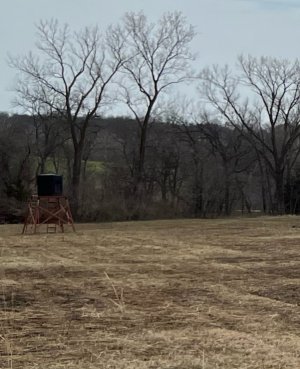 IMG_0443.jpeg