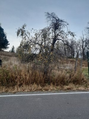 20231108_155926.jpg