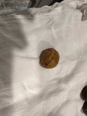 IMG_2623.jpeg
