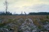 bedding furrows.jpg