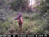 Buck8.jpg
