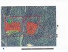2013 NRCS Habitat Proposal-2.jpg