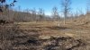 Orchard march 2015.jpg