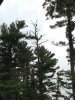 IMG_0147.jpg IMG_0147.jpg