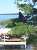 Eagle 4.JPG Eagle 4.JPG