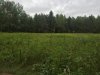 IMG_1325.JPG