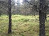 IMG_1327.JPG