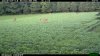2015-07-14 20-03-39 M 1_3.JPG