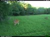 2015-07-18 20-15-03 M 3_3.JPG