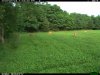 2015-07-15 19-15-00 T_001.JPG