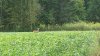 20150823_103815_resized.jpg