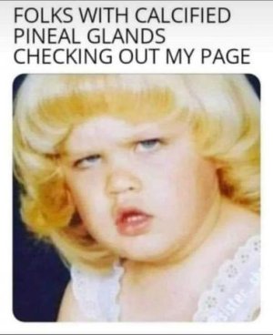 18.jpeg