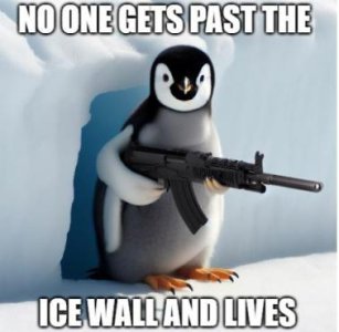 19.jpeg