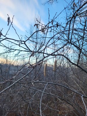 20231202_075711.jpg