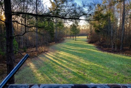 IMG_1693.jpeg