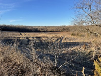 Southwest view from elevated blind.jpg