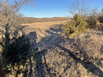 Northwest view from elevated blind.jpg