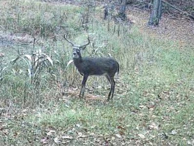 IMG_2920.jpeg