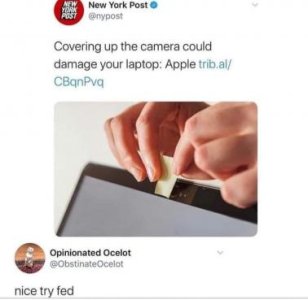 1.jpeg