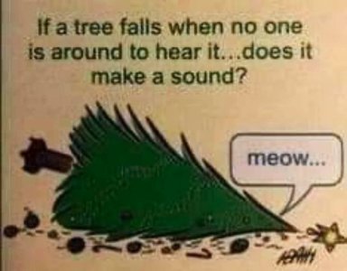 tree falls.jpeg