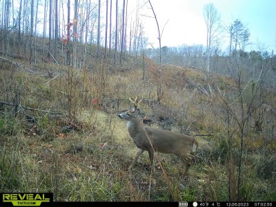 IMG_3131.jpeg IMG_3131.jpeg