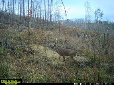 IMG_3132.jpeg IMG_3132.jpeg