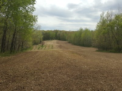 1st Field - May 16th - Just Planted.jpg