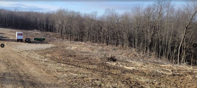 1st Food Plot Right Side.JPG