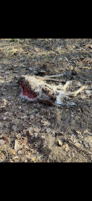 IMG_6294.png IMG_6294.png