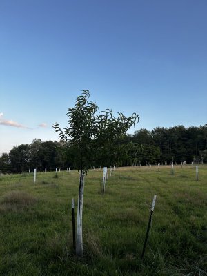 IMG_4391.jpeg