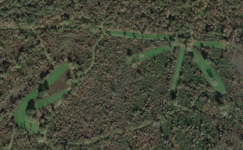 Screenshot 2024-01-11 072112.png
