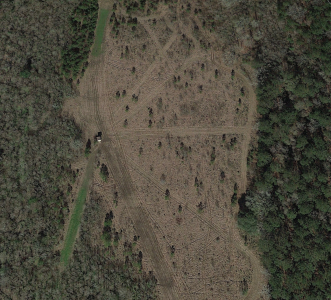 Screenshot 2024-01-11 082453.png