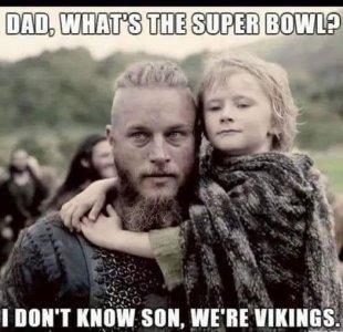 vikings.jpeg