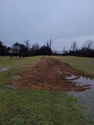 20240113_095343.jpg