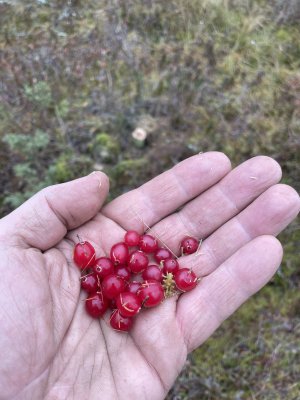 IMG_6097.jpeg