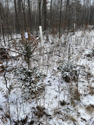 IMG_8694.JPEG IMG_8694.JPEG