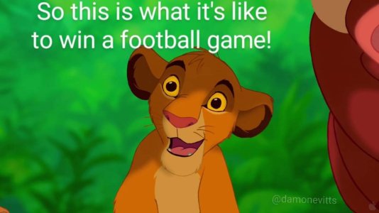 FB_IMG_1705353410252.jpg
