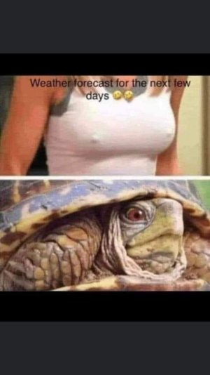 FB_IMG_1705353591294.jpg