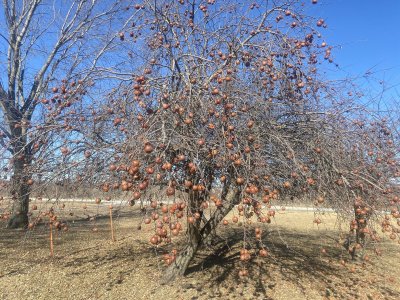 IMG_0939.jpeg