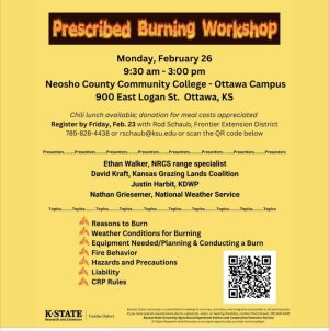 burn workshop.jpg