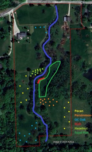 Tree planting layout.jpg Tree planting layout.jpg